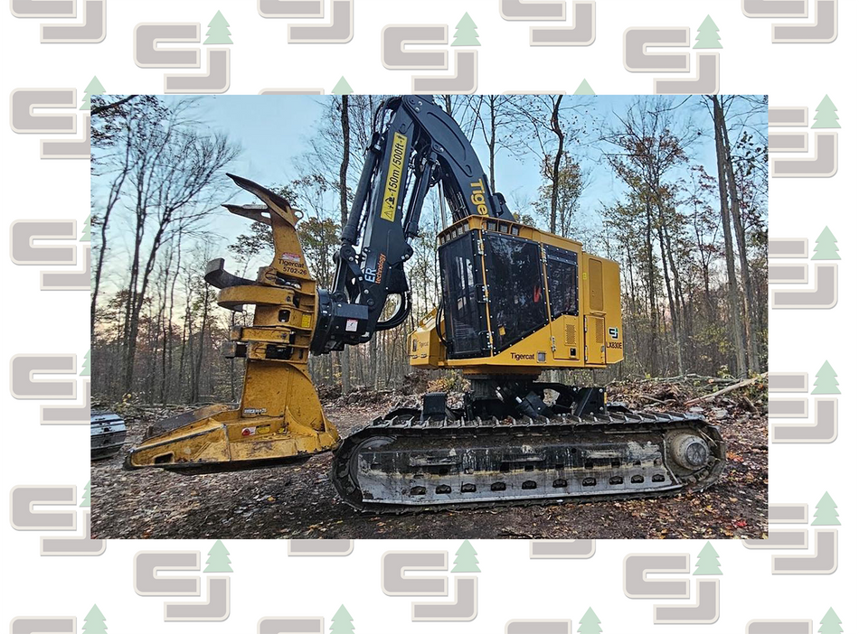 Tigercat LX830E Feller Buncher